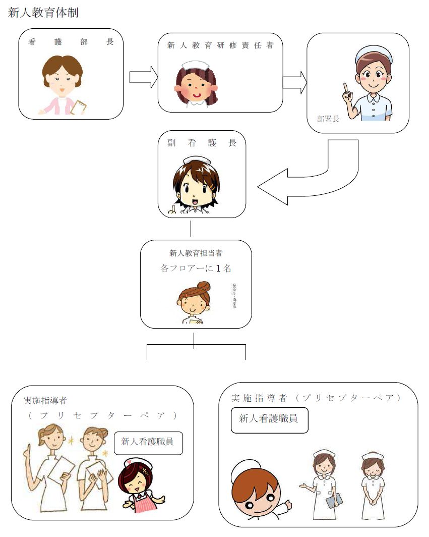 新人看護師育成体制