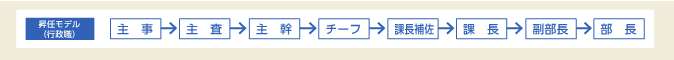 昇任モデル（行政職）：主事→主査→主幹→チーフ→課長補佐→課長→副部長→部長