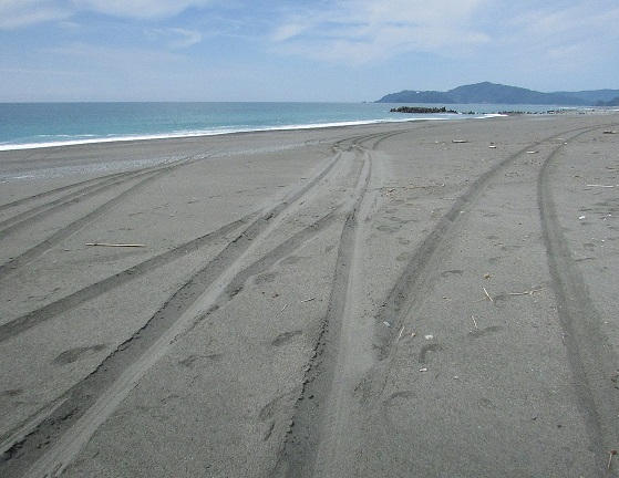 車のわだち画像