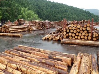 繁藤ストックヤード４