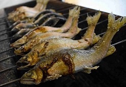 ⑥鮎の塩焼きver2
