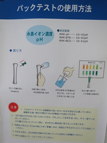パックテストの使用方法ｐｈ