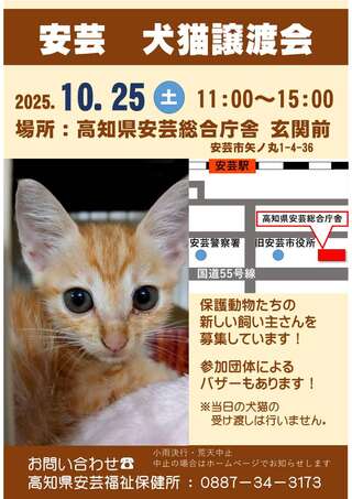 譲渡会チラシ 