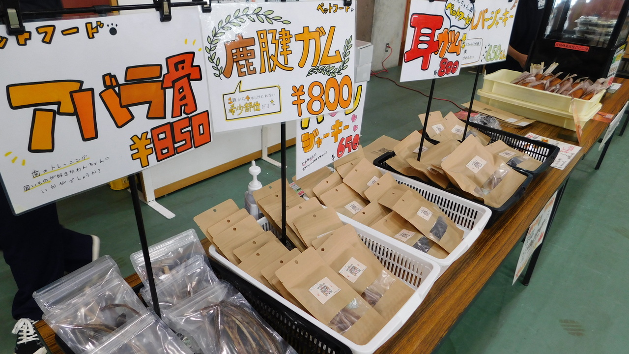 DSCN0288