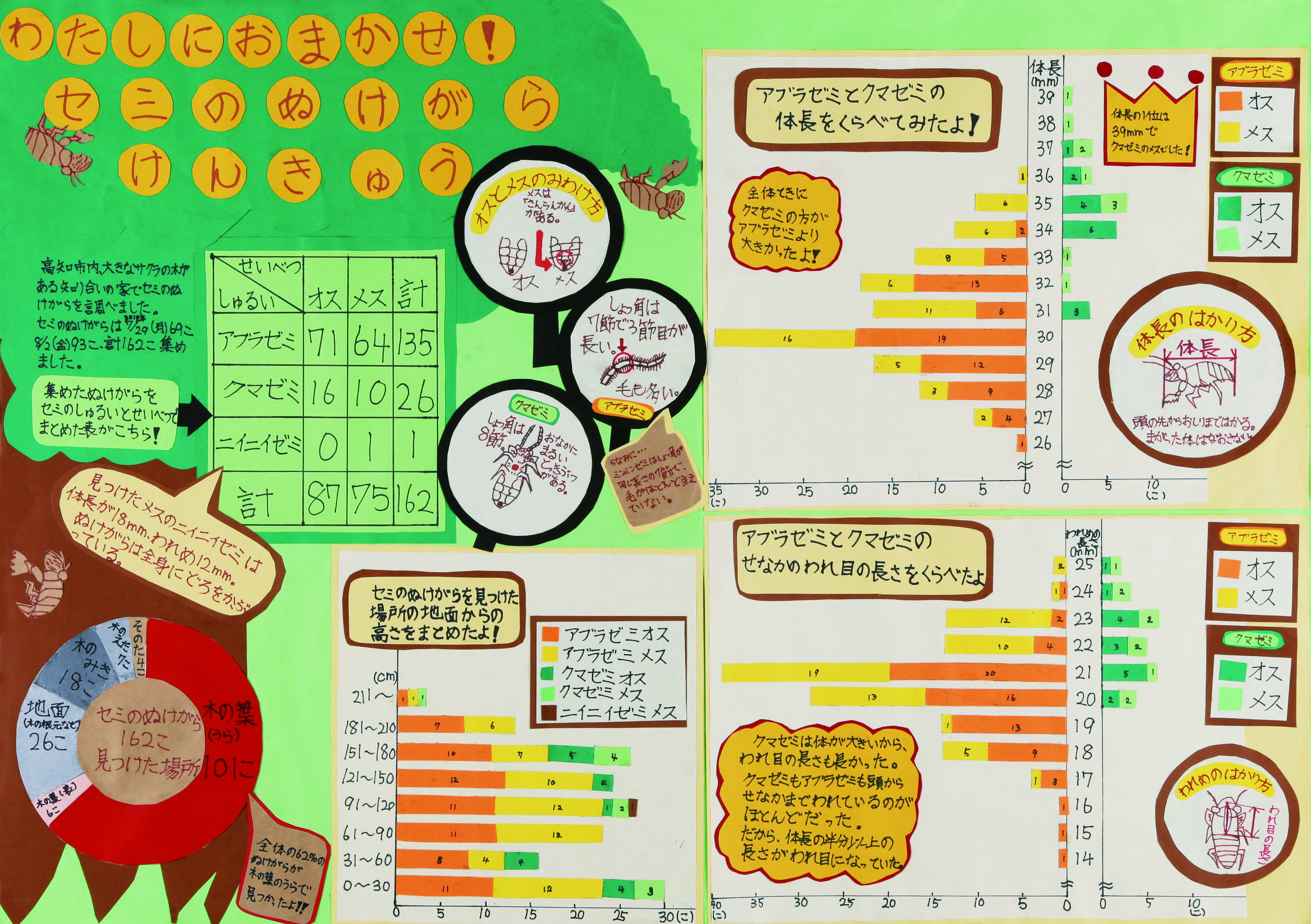 高知小3年_武田凪