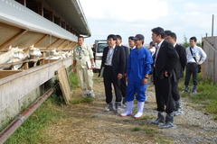 ⑥川添ヤギ牧場