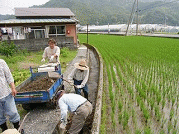 2009031800717_www_pref_kochi_lg_jp_uploaded_image_3014.gif