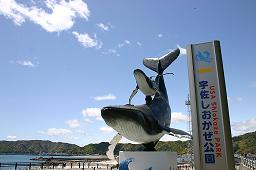 2009022000935_www_pref_kochi_lg_jp_uploaded_image_2828.jpg