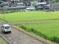 2009031901117_www_pref_kochi_lg_jp_uploaded_image_3982.jpg