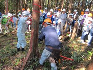 2013112600684_www_pref_kochi_lg_jp_uploaded_image_21498.JPG