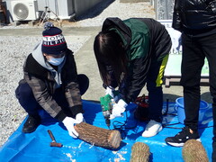 駒打ち