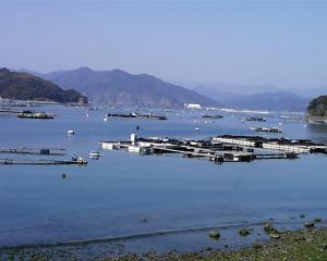 2012062801226_www_pref_kochi_lg_jp_uploaded_image_20162.jpg